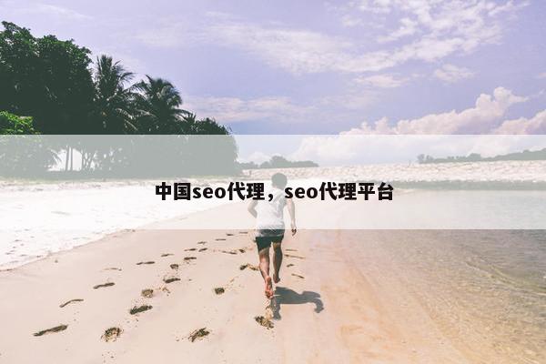 中国seo代理，seo代理平台