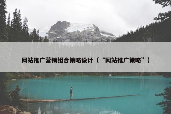 网站推广营销组合策略设计（“网站推广策略”）