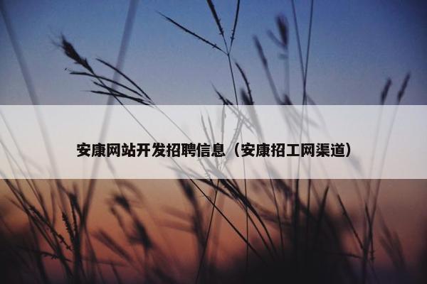 安康网站开发招聘信息（安康招工网渠道）