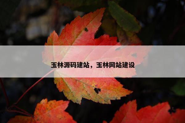 玉林源码建站，玉林网站建设