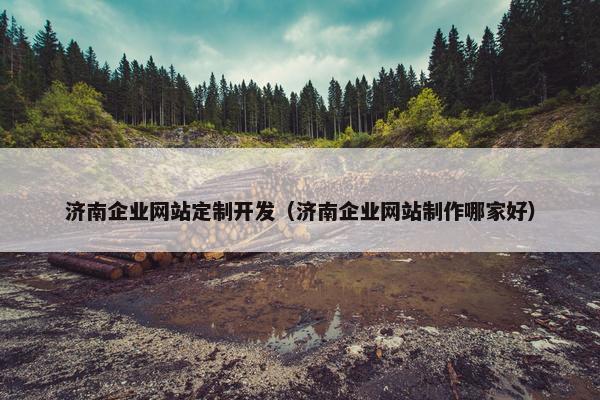 济南企业网站定制开发（济南企业网站制作哪家好）