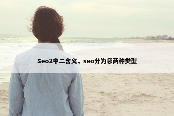 Seo2中二含义，seo分为哪两种类型
