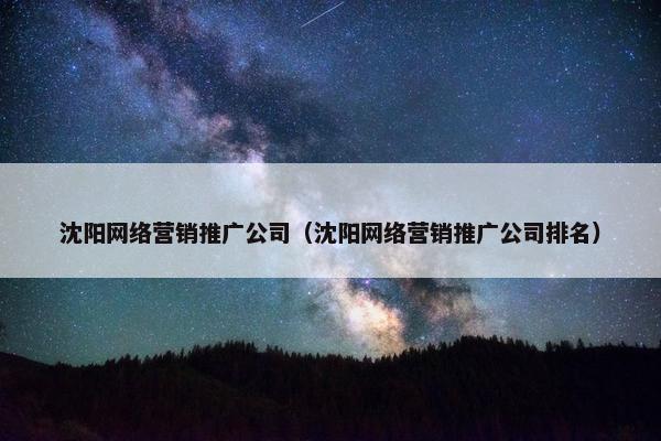沈阳网络营销推广公司（沈阳网络营销推广公司排名）