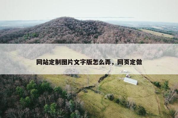 网站定制图片文字版怎么弄，网页定做