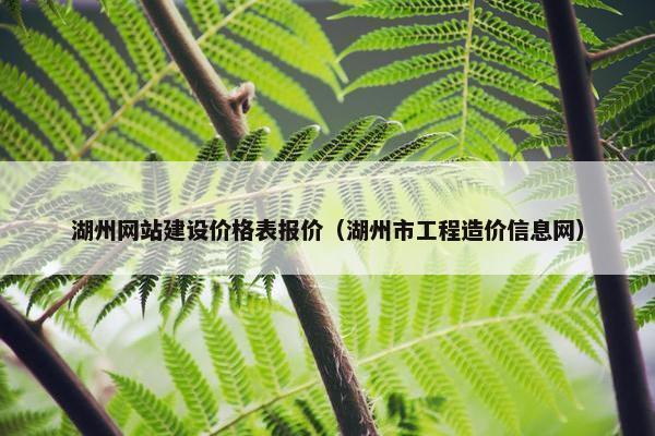 湖州网站建设价格表报价（湖州市工程造价信息网）