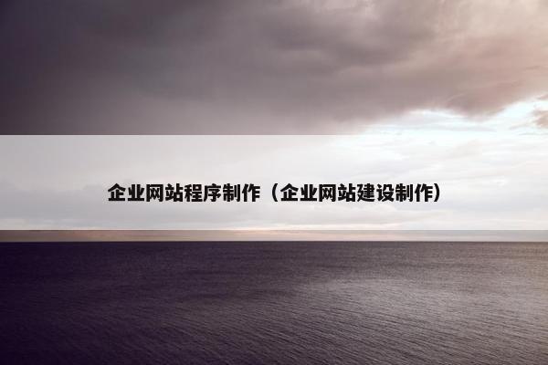 企业网站程序制作（企业网站建设制作）