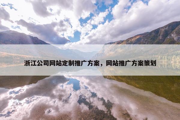 浙江公司网站定制推广方案，网站推广方案策划