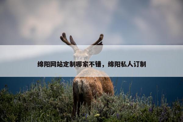 绵阳网站定制哪家不错，绵阳私人订制