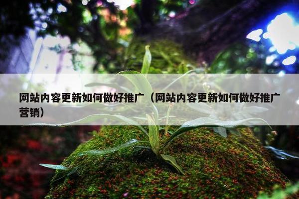 网站内容更新如何做好推广（网站内容更新如何做好推广营销）