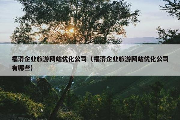 福清企业旅游网站优化公司（福清企业旅游网站优化公司有哪些）