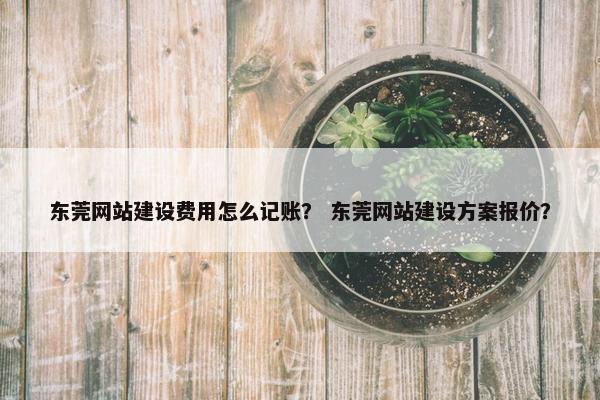 东莞网站建设费用怎么记账？ 东莞网站建设方案报价？