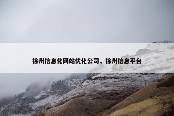 徐州信息化网站优化公司，徐州信息平台