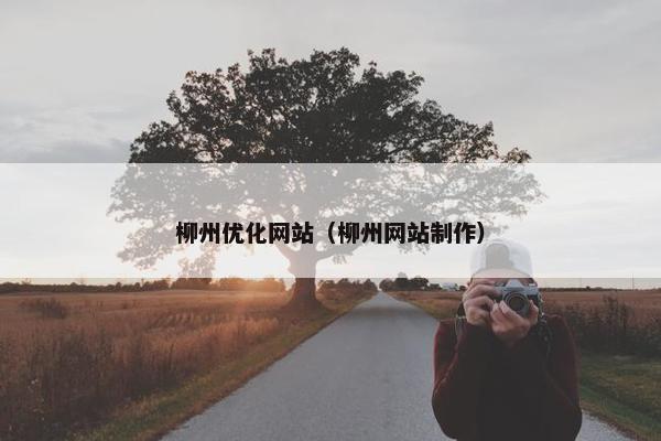 柳州优化网站（柳州网站制作）