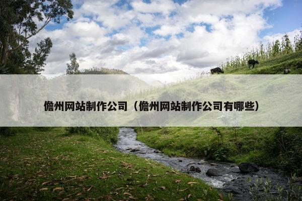 儋州网站制作公司（儋州网站制作公司有哪些）