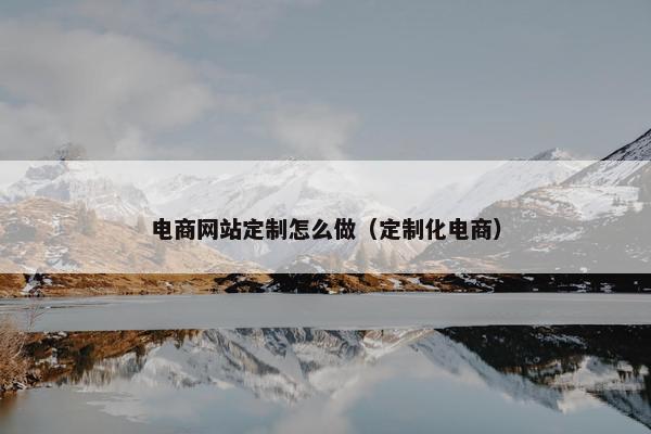 电商网站定制怎么做（定制化电商）