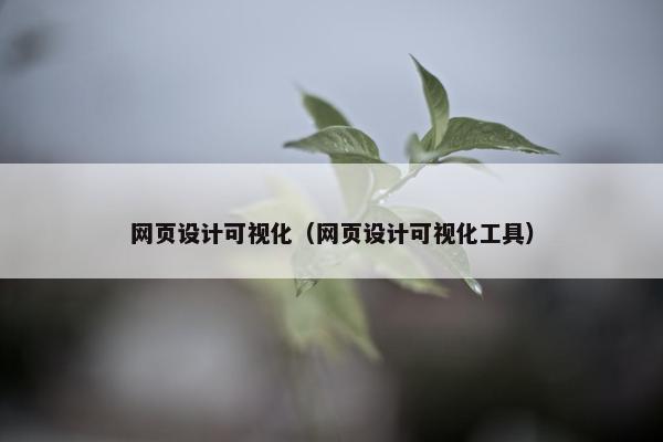 网页设计可视化（网页设计可视化工具）