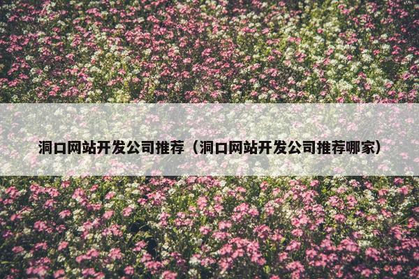 洞口网站开发公司推荐（洞口网站开发公司推荐哪家）