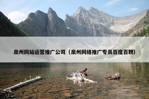 泉州网站运营推广公司（泉州网络推广专员百度百聘）