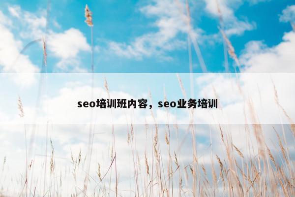 seo培训班内容，seo业务培训