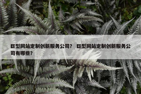 巨型网站定制创新服务公司？ 巨型网站定制创新服务公司有哪些？