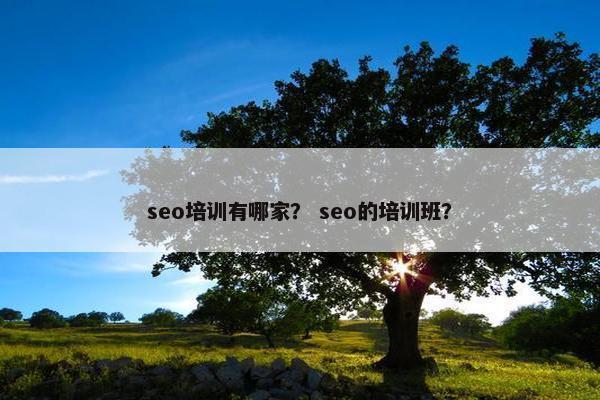 seo培训有哪家？ seo的培训班？