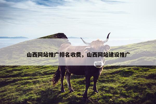 山西网站推广排名收费，山西网站建设推广
