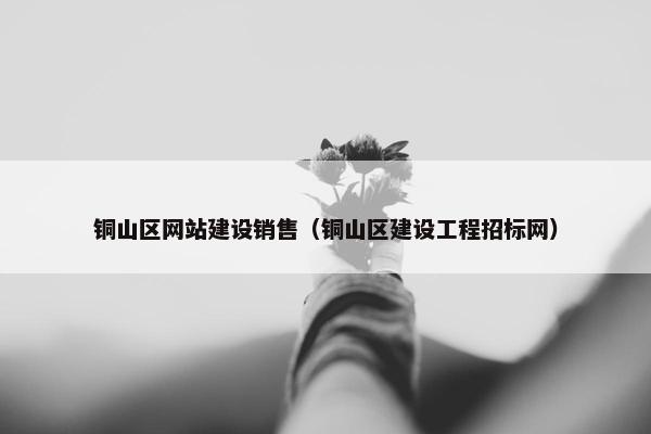 铜山区网站建设销售（铜山区建设工程招标网）