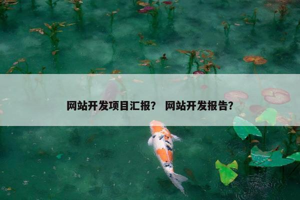 网站开发项目汇报？ 网站开发报告？