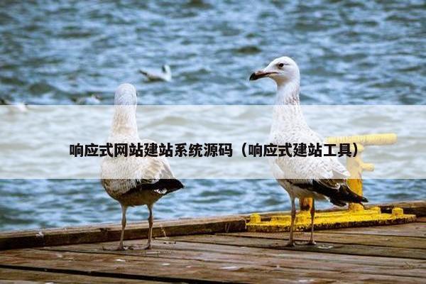 响应式网站建站系统源码（响应式建站工具）