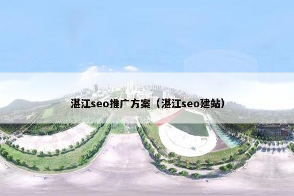 湛江seo推广方案（湛江seo建站）