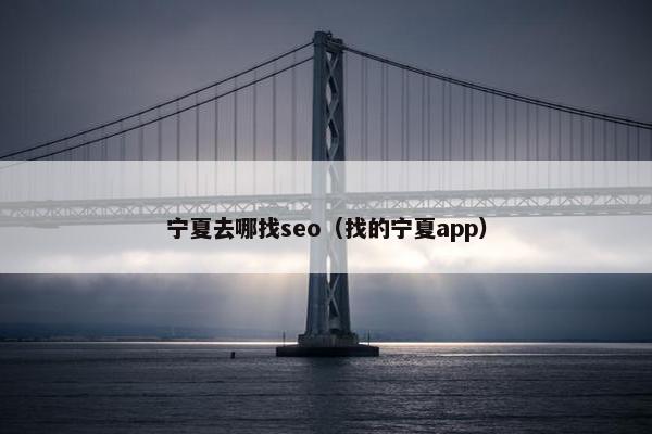 宁夏去哪找seo（找的宁夏app）