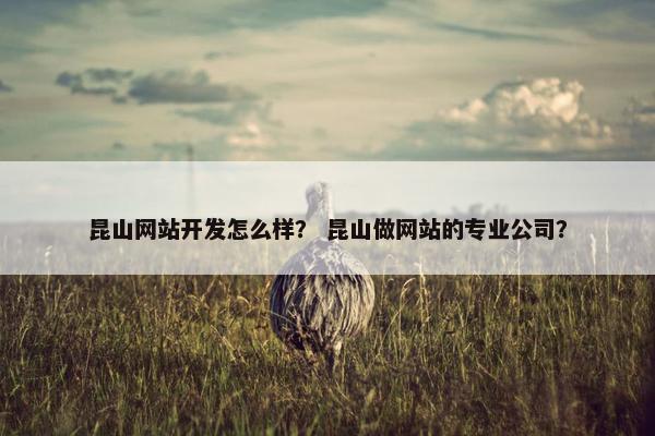 昆山网站开发怎么样？ 昆山做网站的专业公司？