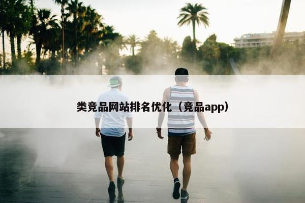 类竞品网站排名优化（竞品app）