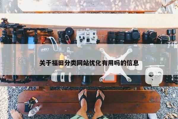 关于福田分类网站优化有用吗的信息