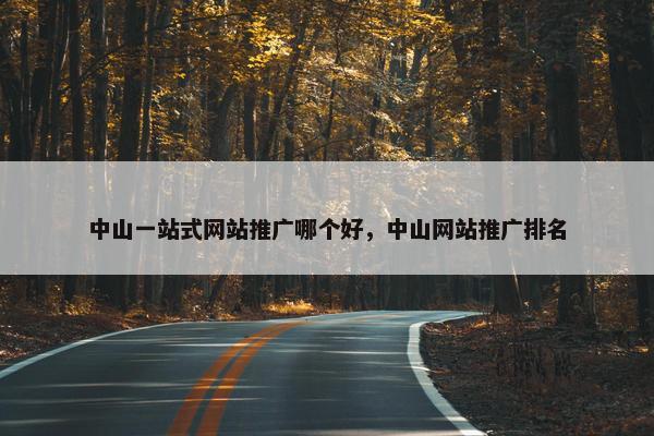 中山一站式网站推广哪个好，中山网站推广排名