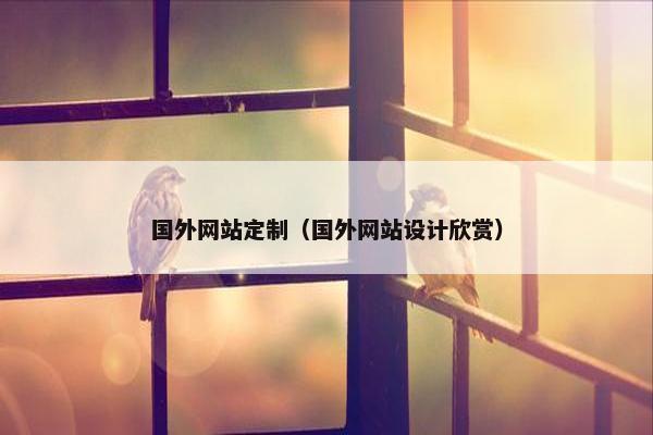 国外网站定制（国外网站设计欣赏）