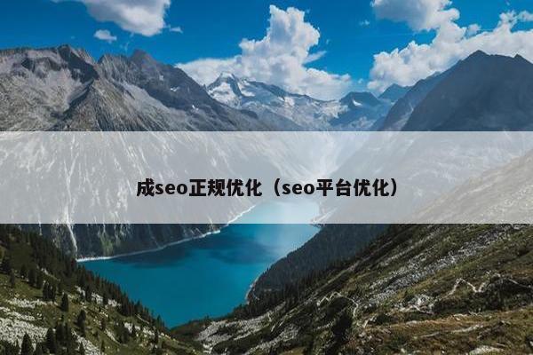 成seo正规优化（seo平台优化）