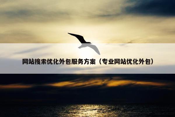 网站搜索优化外包服务方案（专业网站优化外包）
