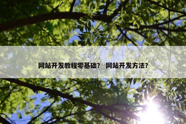 网站开发教程零基础？ 网站开发方法？