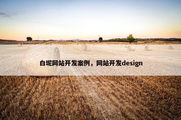 白坭网站开发案例，网站开发design