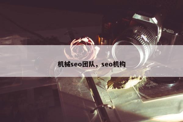 机械seo团队，seo机构