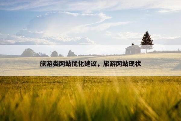 旅游类网站优化建议，旅游网站现状