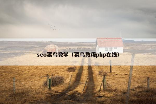 seo菜鸟教学（菜鸟教程php在线）