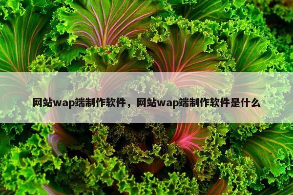 网站wap端制作软件，网站wap端制作软件是什么