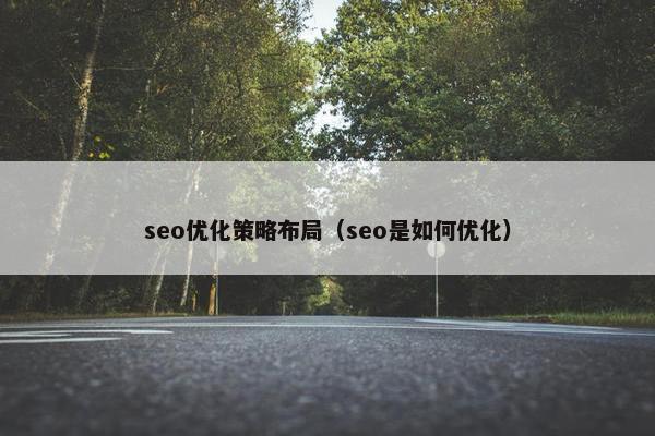 seo优化策略布局（seo是如何优化）