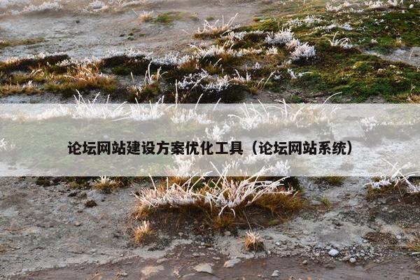 论坛网站建设方案优化工具（论坛网站系统）
