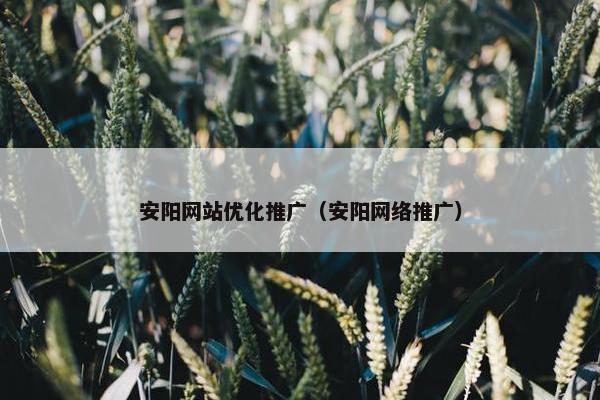 安阳网站优化推广（安阳网络推广）