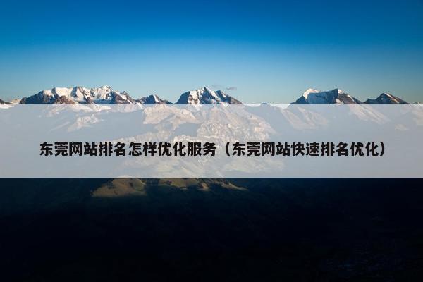 东莞网站排名怎样优化服务（东莞网站快速排名优化）