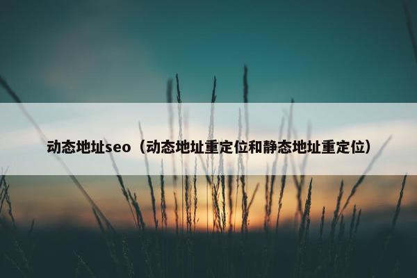动态地址seo（动态地址重定位和静态地址重定位）