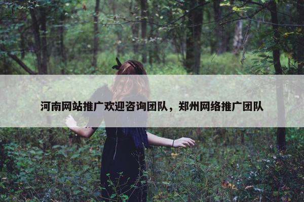 河南网站推广欢迎咨询团队，郑州网络推广团队